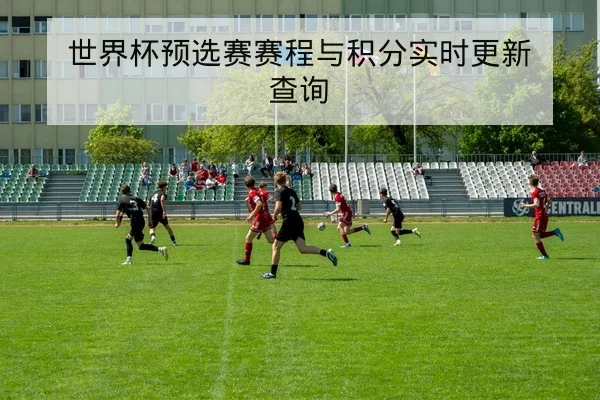 世界杯预选赛赛程与积分实时更新查询