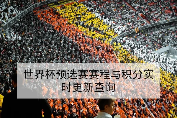 世界杯预选赛赛程与积分实时更新查询
