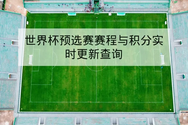 世界杯预选赛赛程与积分实时更新查询